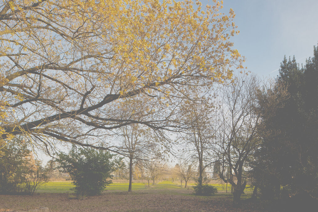 parco-2
